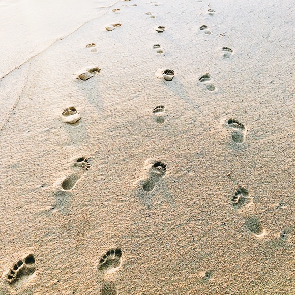 Meet your Posher, Ariana - Picture 1 of 1